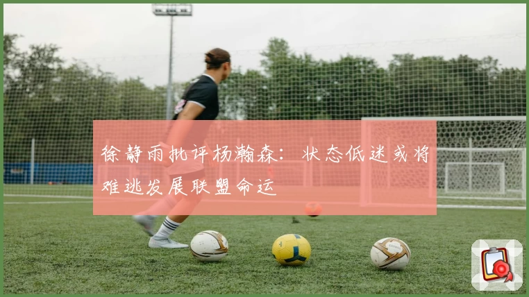 徐静雨批评杨瀚森：状态低迷或将难逃发展联盟命运