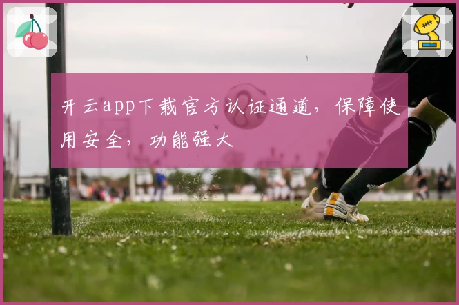 开云app下载官方认证通道，保障使用安全，功能强大