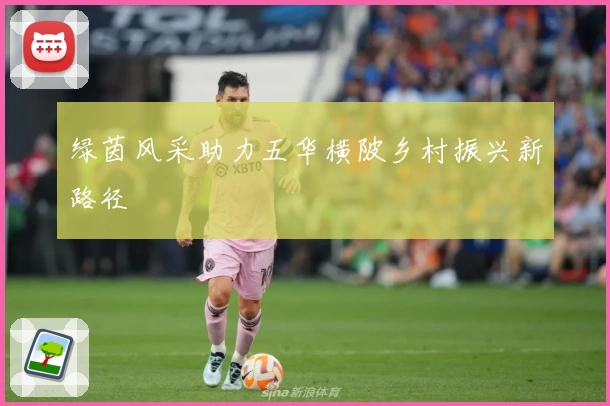 绿茵风采助力五华横陂乡村振兴新路径