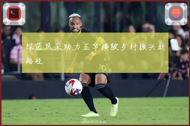 绿茵风采助力五华横陂乡村振兴新路径